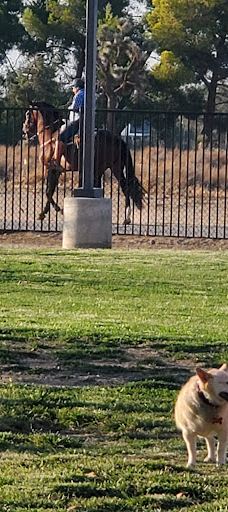 Forest E. Hull Park-兰开斯特