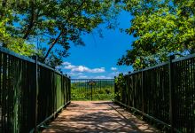 Norfork Lookout Point景点图片