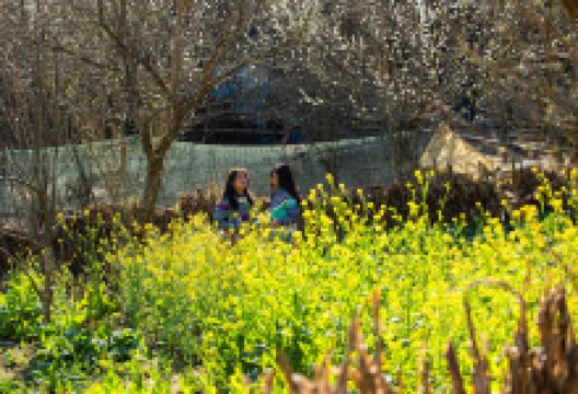 Điểm săn mây Tả Van Chư景点图片