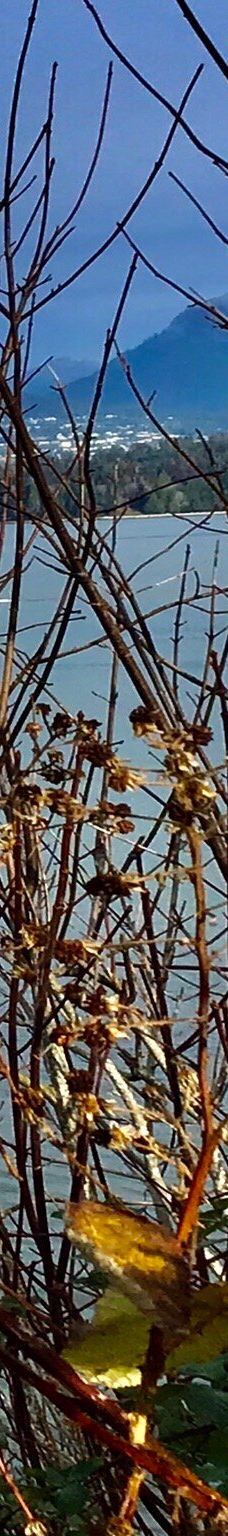 英吉利湾-温哥华