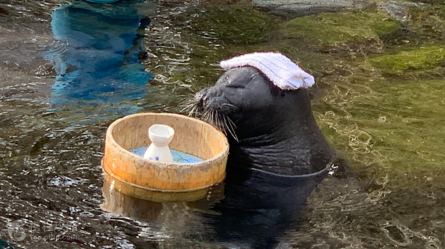 箱根園水族館