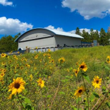 弗拉格斯塔夫图片