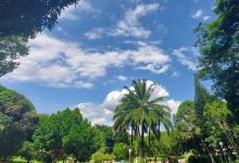 Parque Zeca Malavazzi景点图片