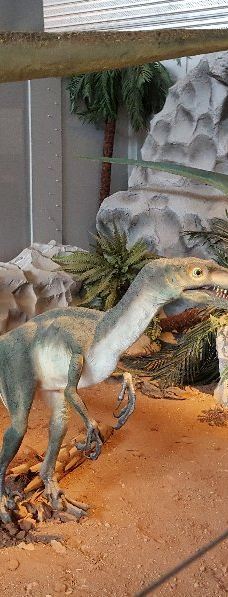 Musee des Dinosaures 'Dinosauria'-埃斯佩拉扎