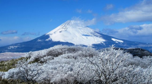 富士山資料館