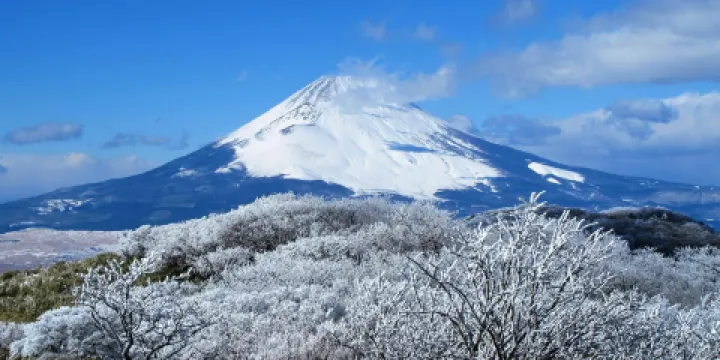 富士山資料館