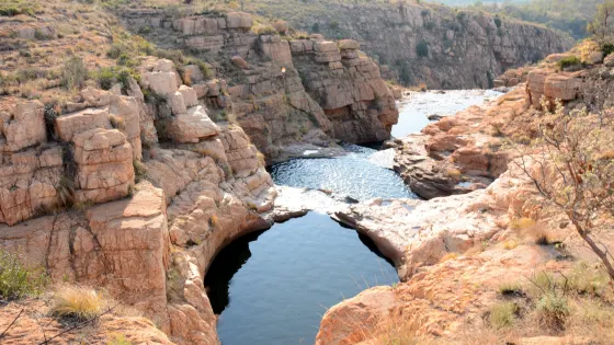 Kgaswane Nature Reserve