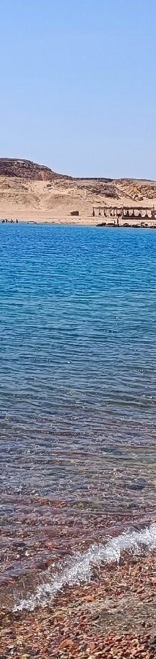 穆罕默德国家公园-Qesm Sharm Ash Sheikh