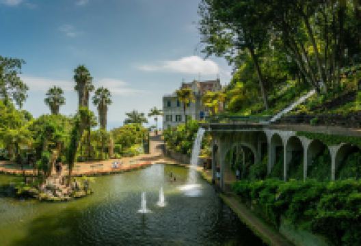 蒙特宫热带花园景点图片