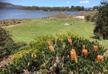 Inverawe Native Gardens景点图片