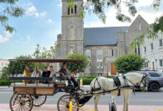 Cape May Carriage LLC景点图片