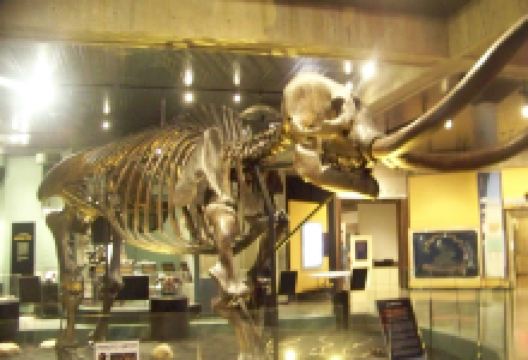 Ohio History Center景点图片