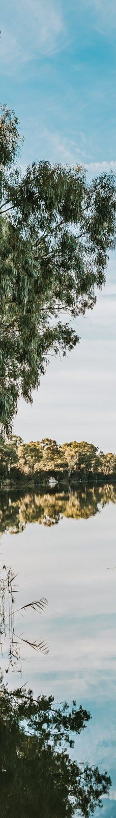 Trentham Estate-Nichols Point