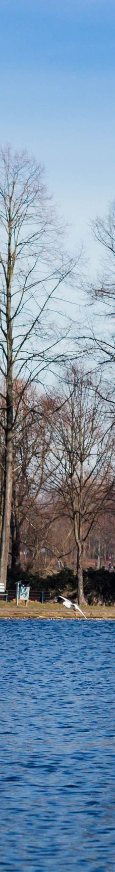 莱茵休闲公园-波恩