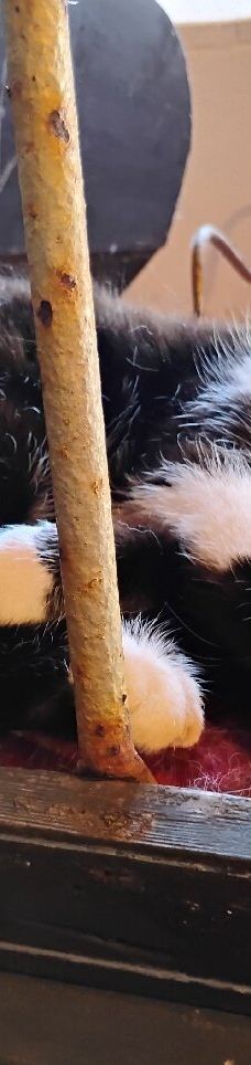 Borglum Kloster-弗罗