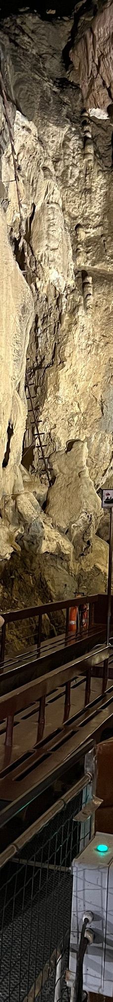 Grottes de Betharram-圣佩德比戈尔