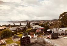 Penguin General Cemetery景点图片