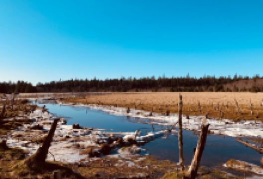 Delkatla Nature Sanctuary景点图片