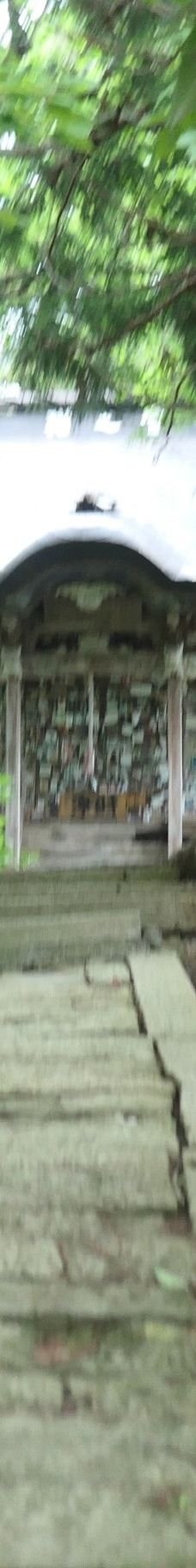 Cat's Shrine-高畠町