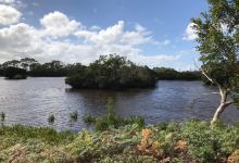 Bald Hills Creek Wildlife Reserve景点图片