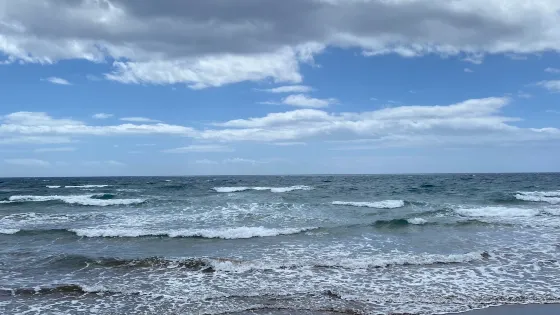 Playa Guacimeta