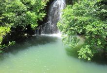 Ichinotaki Waterfall景点图片