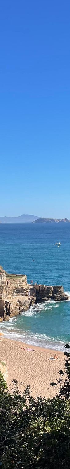 L'illa Roja-巴古尔