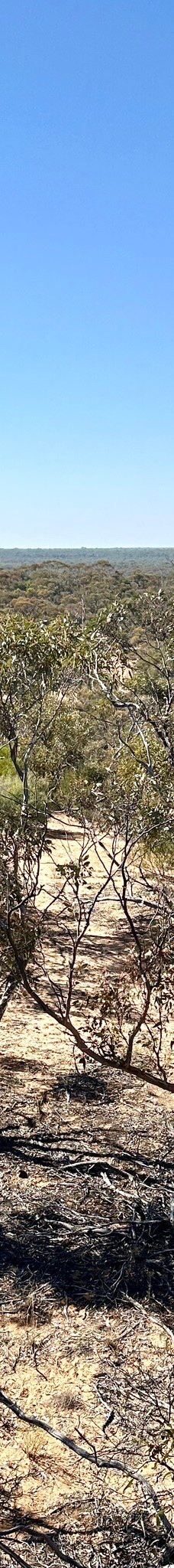 Warepil Lookout-奥延