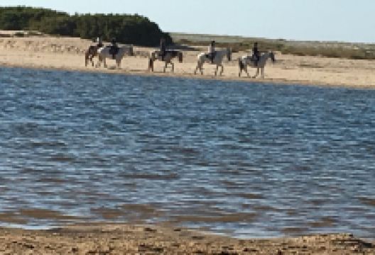 Lagoa de Melides景点图片