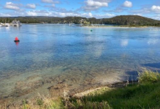Apex Park Parking景点图片