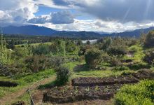 Austral Garden Route景点图片