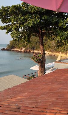 Jangalancha Show-纳塔尔