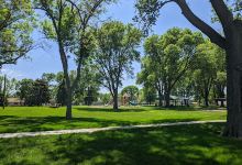 Davis Park景点图片