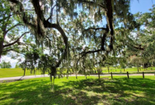 Jefferson Parish Library - Live Oak Library景点图片
