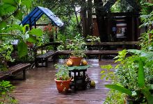 Carambola Gardens景点图片