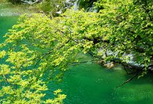 Plitvice Entrance 1 Ticket Office景点图片