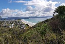 Matarangi Bluff Track景点图片