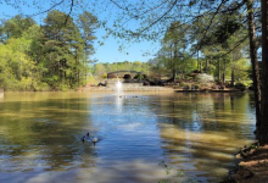Ben Hill Strickland Sr Memorial Park景点图片
