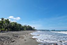 Playa Gandoca景点图片