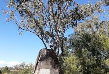 Myall Creek Massacre Memorial景点图片