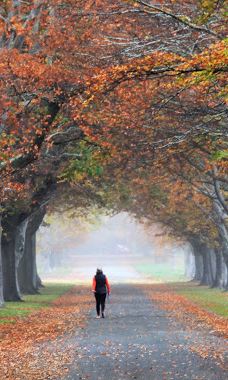 Hamilton Park-戈尔