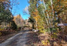 Weeks Brook Trailhead景点图片