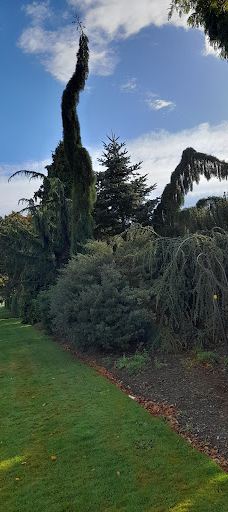 Gore Public Gardens-戈尔