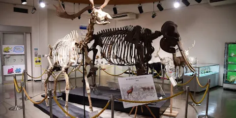 佐野市葛生化石館