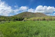 Indian Run Campground景点图片