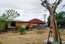 WISATA BUKIT BATU KUCING景点图片
