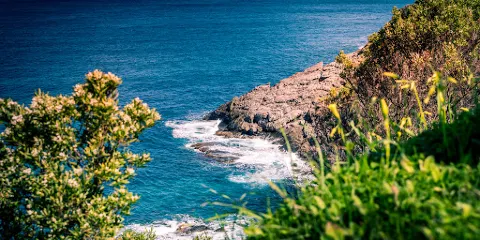 深溪保護區公園