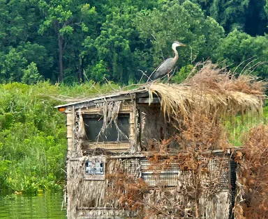 Aquia Landing Park