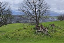 Bryn yr Hen Bobl景点图片