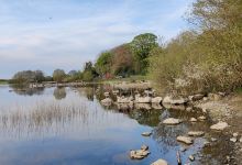 Portlick Millennium Forest景点图片